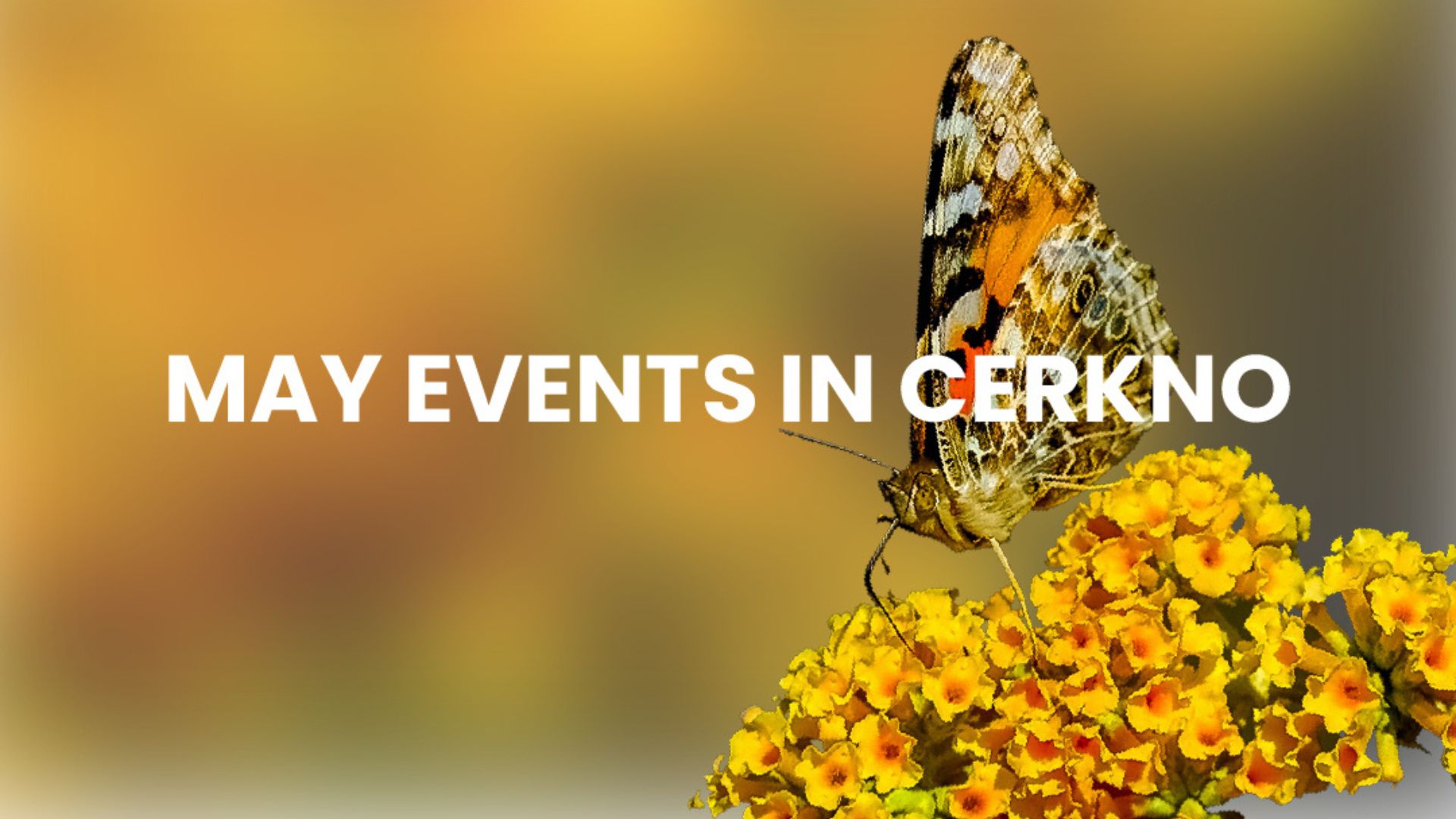 may-in-cerkno
