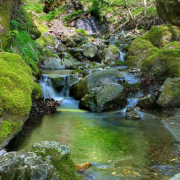 skozi-zaposko-na-porezen