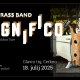 magnifico-tacmi-